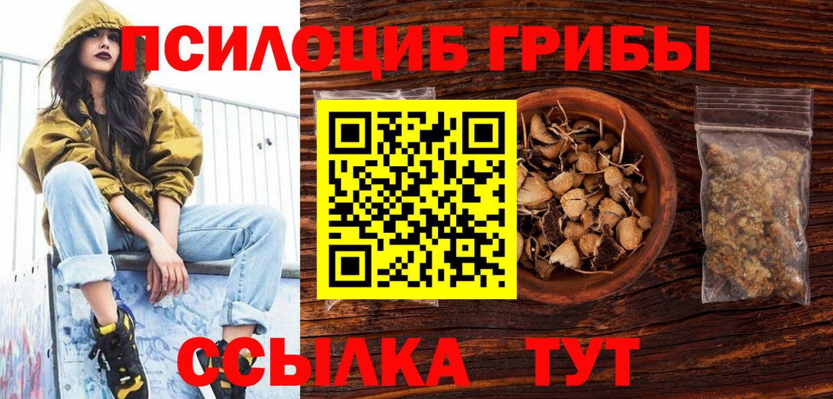Псилоцибиновые грибы Psilocybe  Вход с VPN  Камышлов 